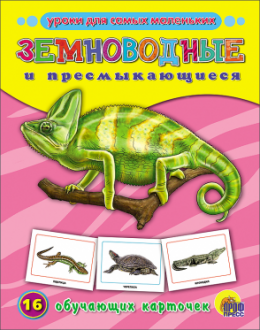 Обучающие карточки. Земноводные и пресмыкающиеся
