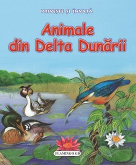Animale din delta Dunarii. Flamingo