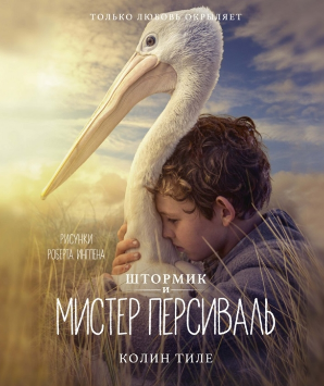 Штормик и мистер Персиваль