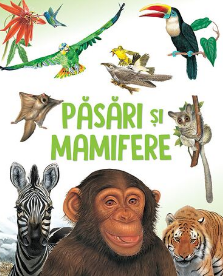 Pasari si mamifere. Kreativ