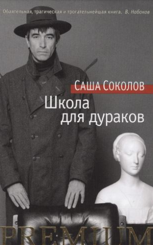 Школа для дураков. Соколов