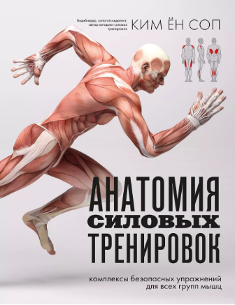 Анатомия силовых тренировок