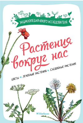 Растения вокруг нас
