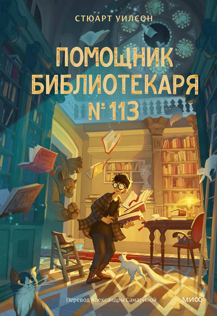 Помощник библиотекаря № 113