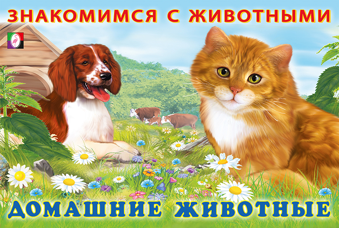 Фламинго. Домашние животные