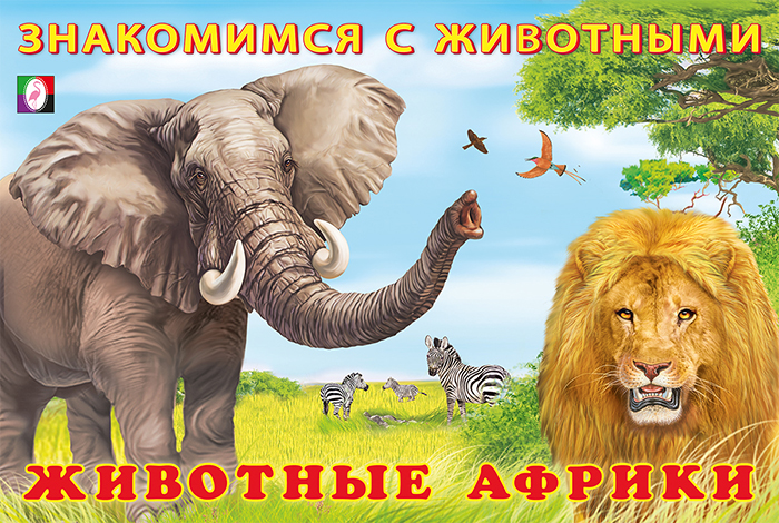 Фламинго. Животные Африки