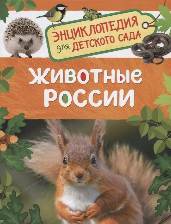 Животные России. (Энциклопедия для детского сада)